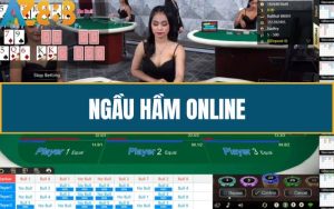 Huong Dan Cach Choi Ngau Ham Online Tai Live Casino AZ888 Cho Tan Thu 1 1 2 1
